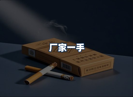 专业团队办公环境